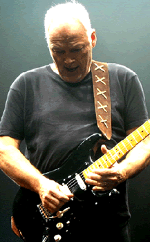 David Gilmour www.gilmourish.com